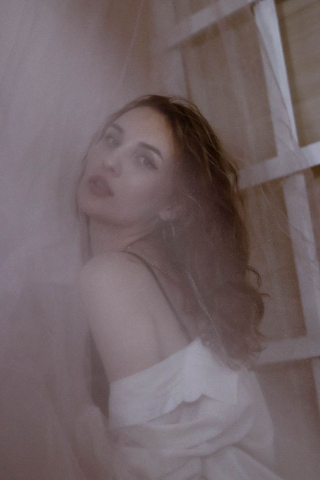 Модель Stefania
