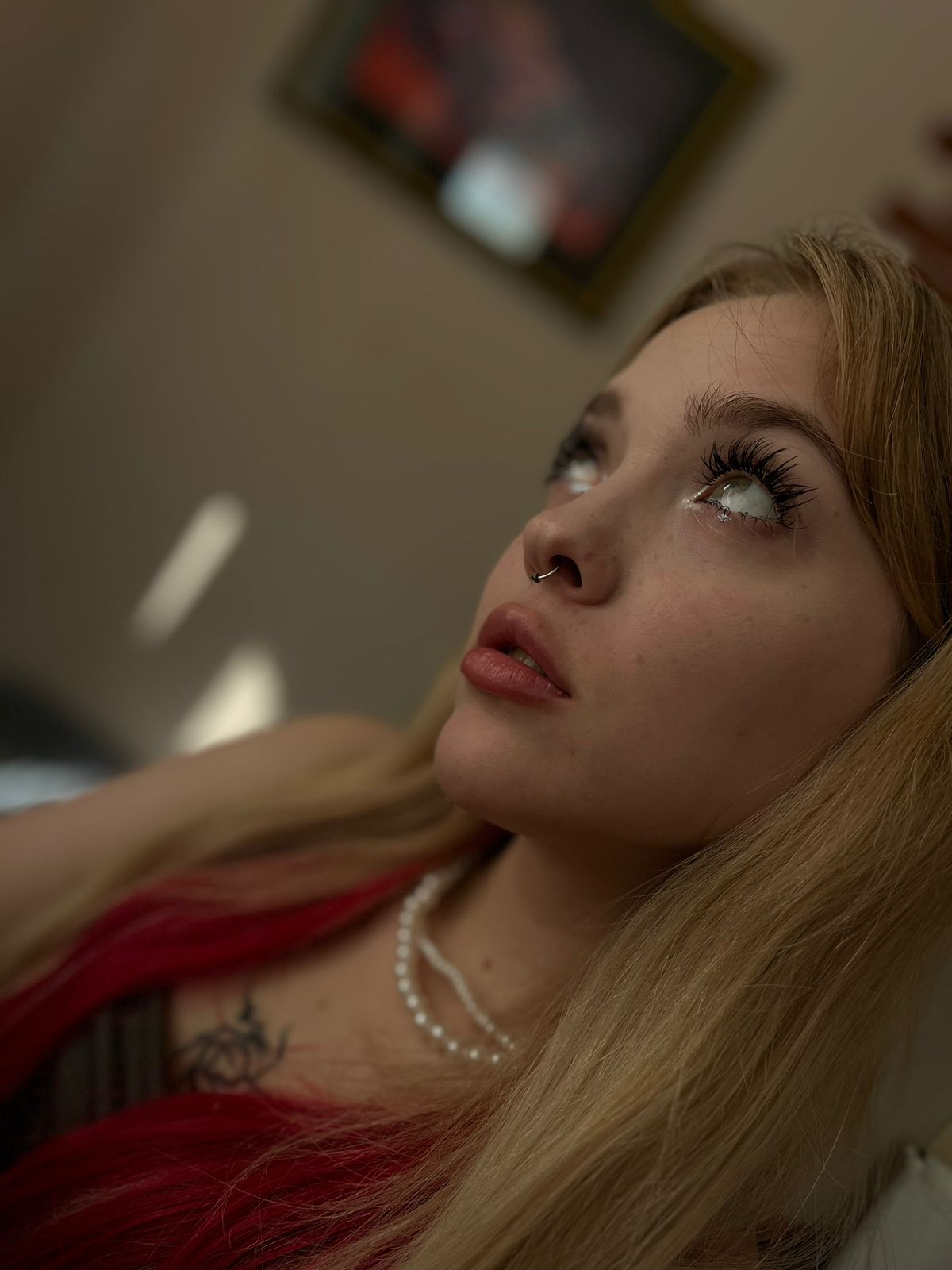 Модель Anna
