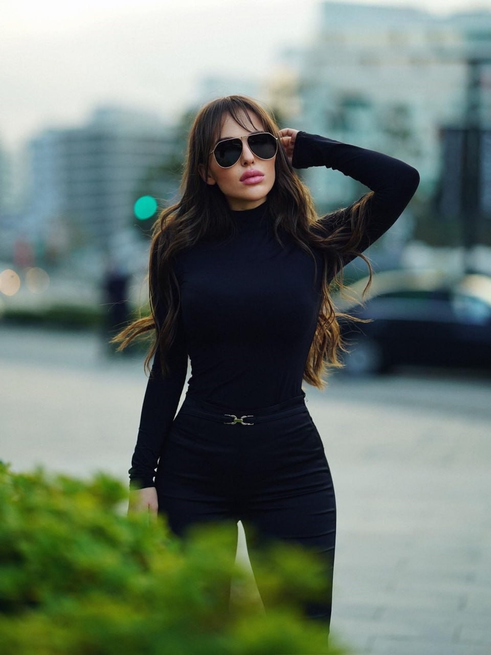 Модель Ayla